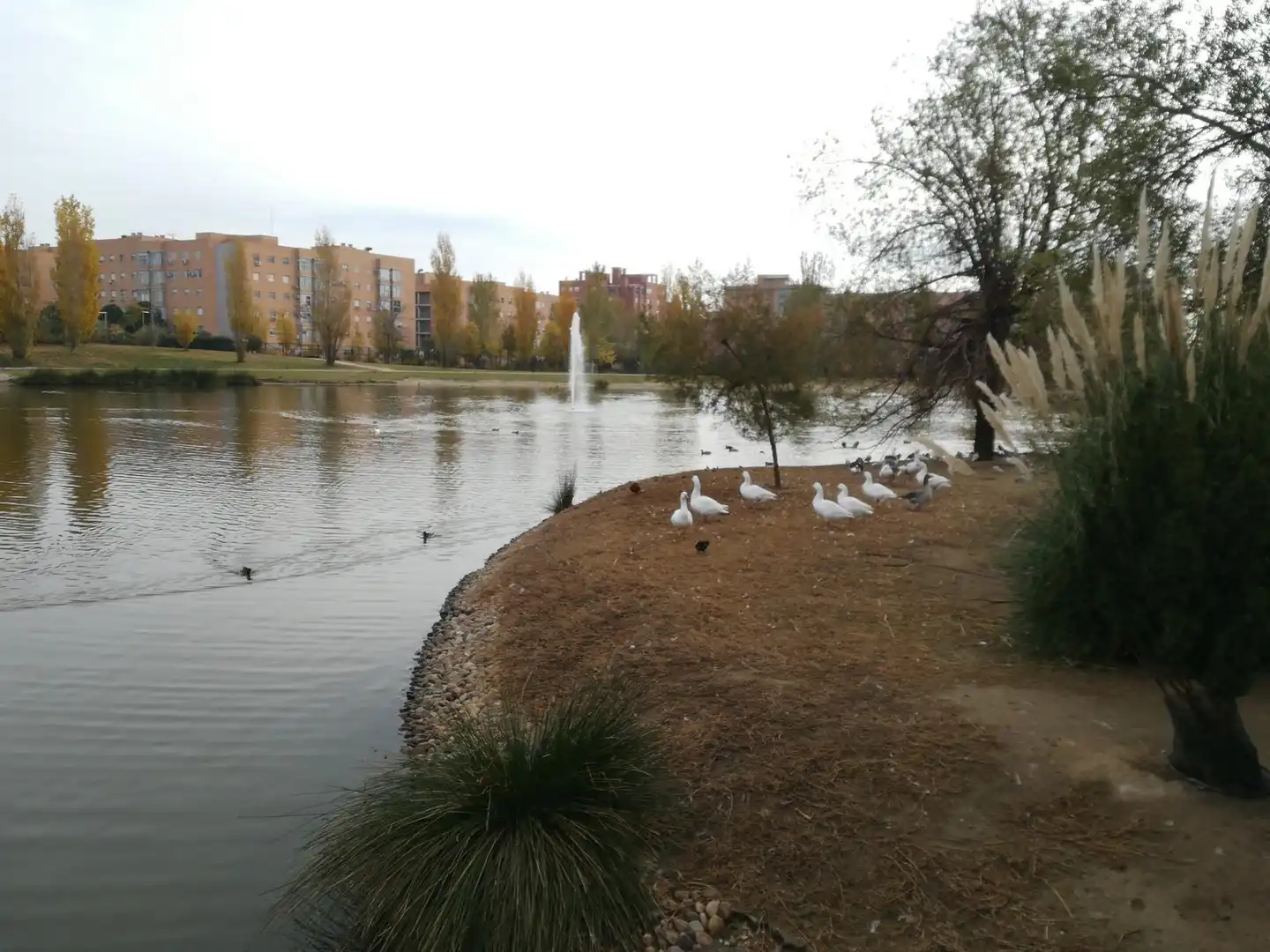 Jardí de Apartament en venda en Madrid