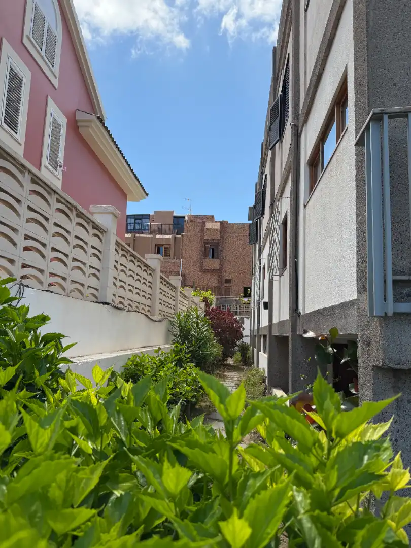 Vista exterior de Ático en venta en Las Palmas de Gran Canaria con Terraza