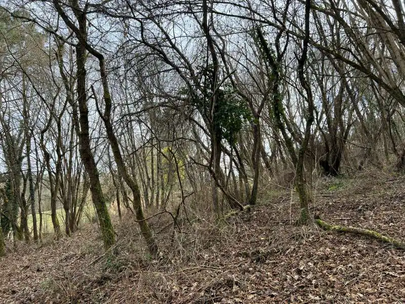 Terreni e lotti in vendita a Parroquias Norte, imagen 9