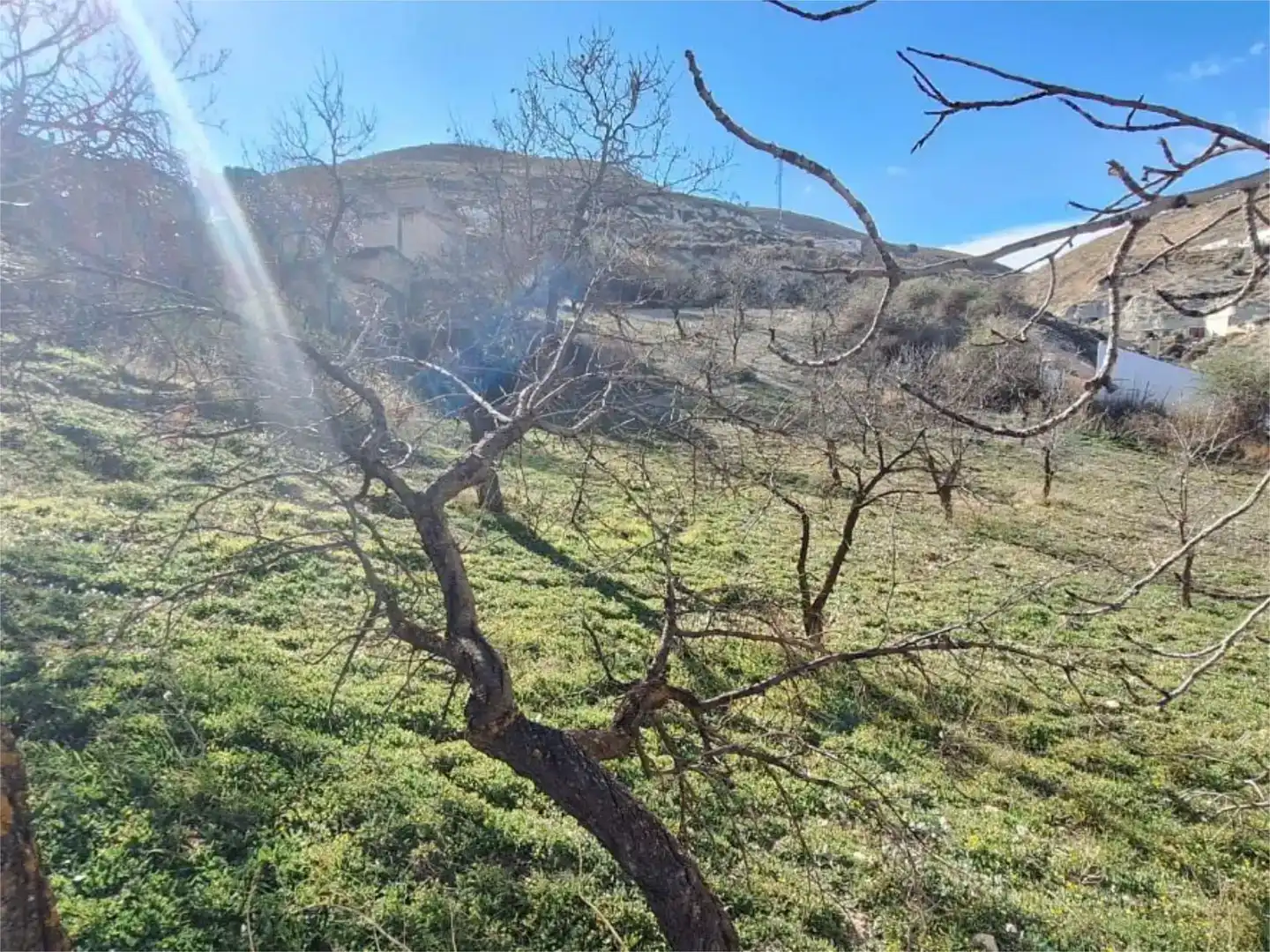 Casa o xalet en venda en Baza amb Jardí privat