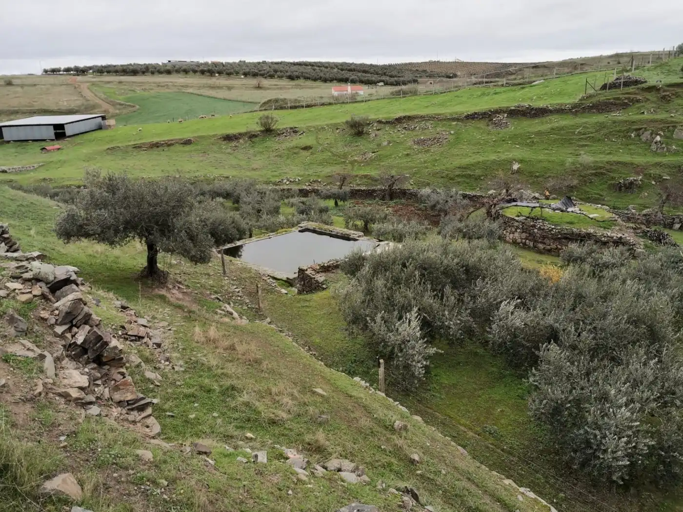 Finca rústica en venta en Belalcázar
