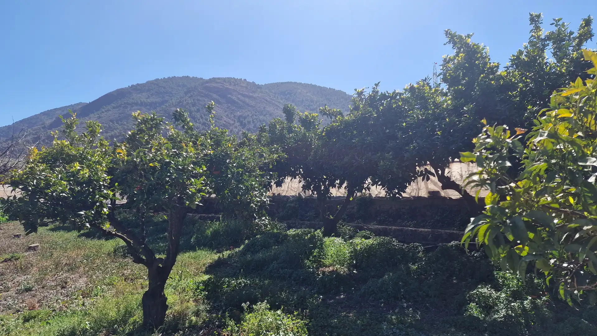 Casa rústica en venda a Canjáyar, imagen 15