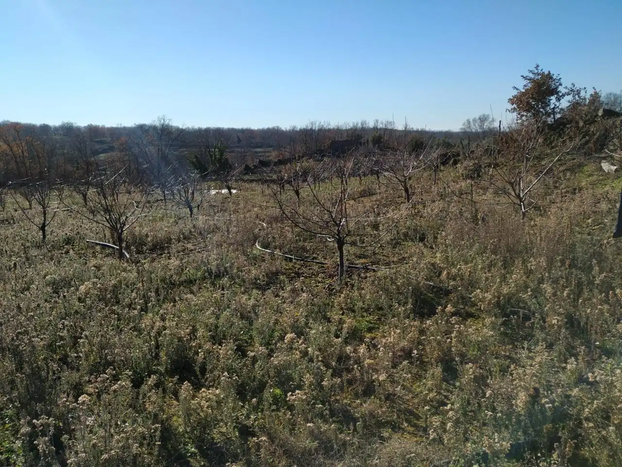 Residential for sale in Gargüera