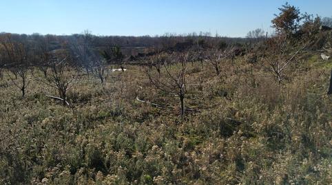 Foto 5 de Residencial en venta en Gargüera, Gargüera, Cáceres