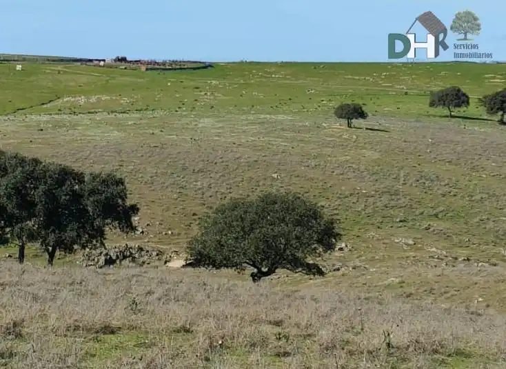 Terreni e lotti in vendita a Carretera de Sevilla - Los Montitos, imagen 7