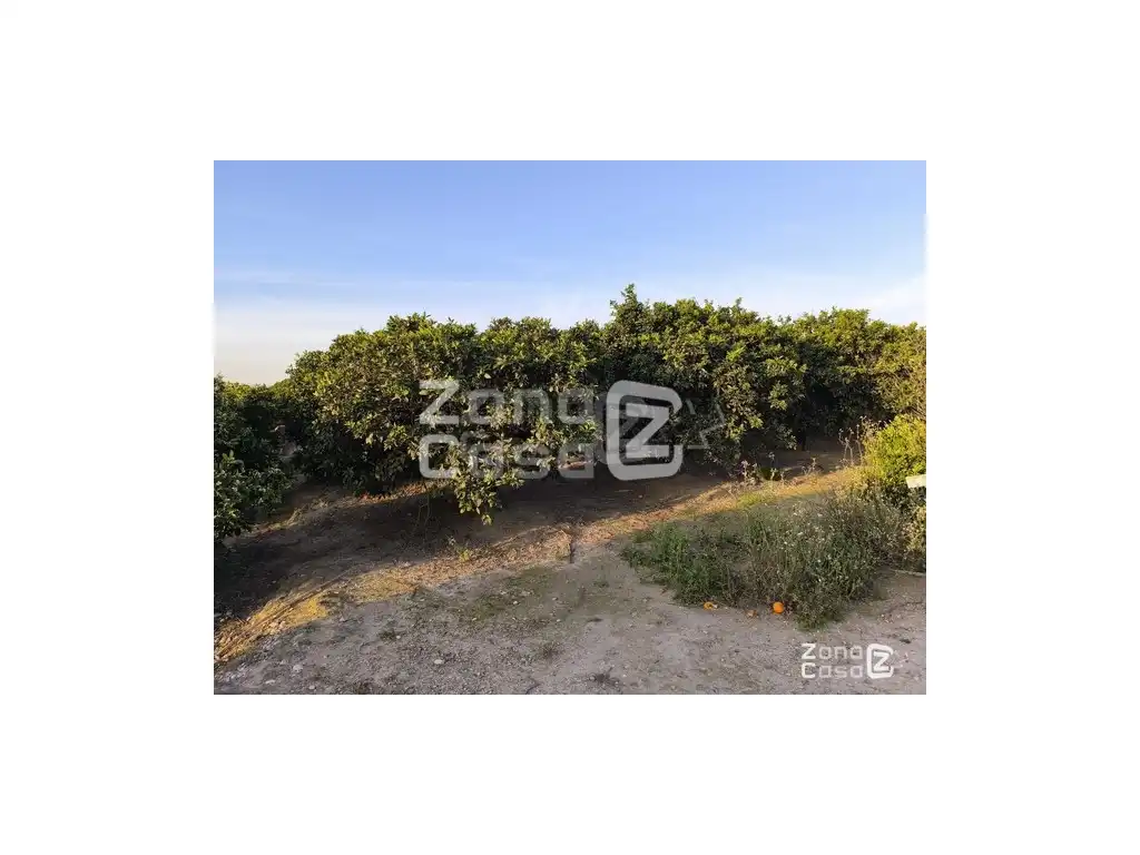 Country homes for sale in Algemesí, Valencia