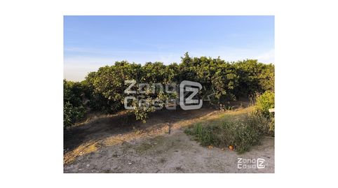Photo 2 of Country homes for sale in Pol.7 Parc. 43, Algemesí, Valencia
