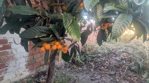 CASA EN LA CALLE ALTA, imatge 2