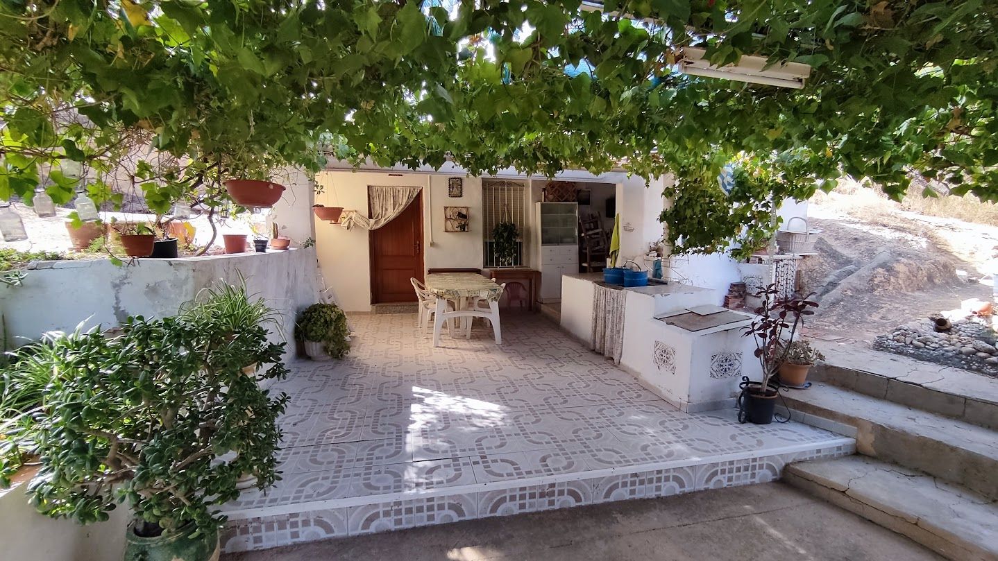Jardí de Casa o xalet en venda en Elche / Elx amb Piscina