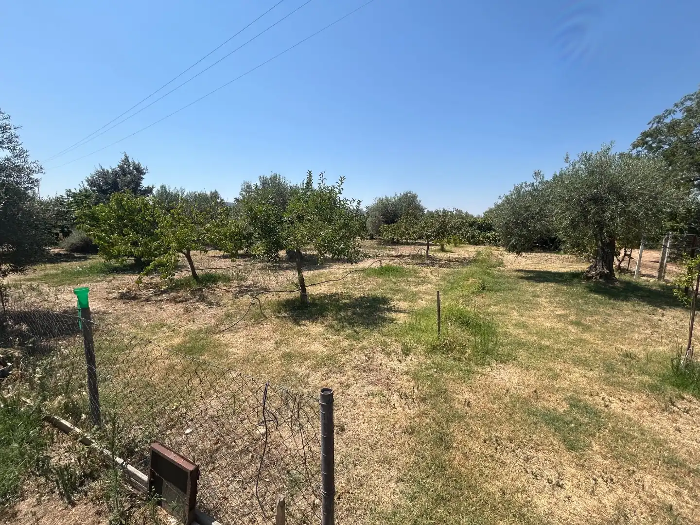 Land for sale in Oeste