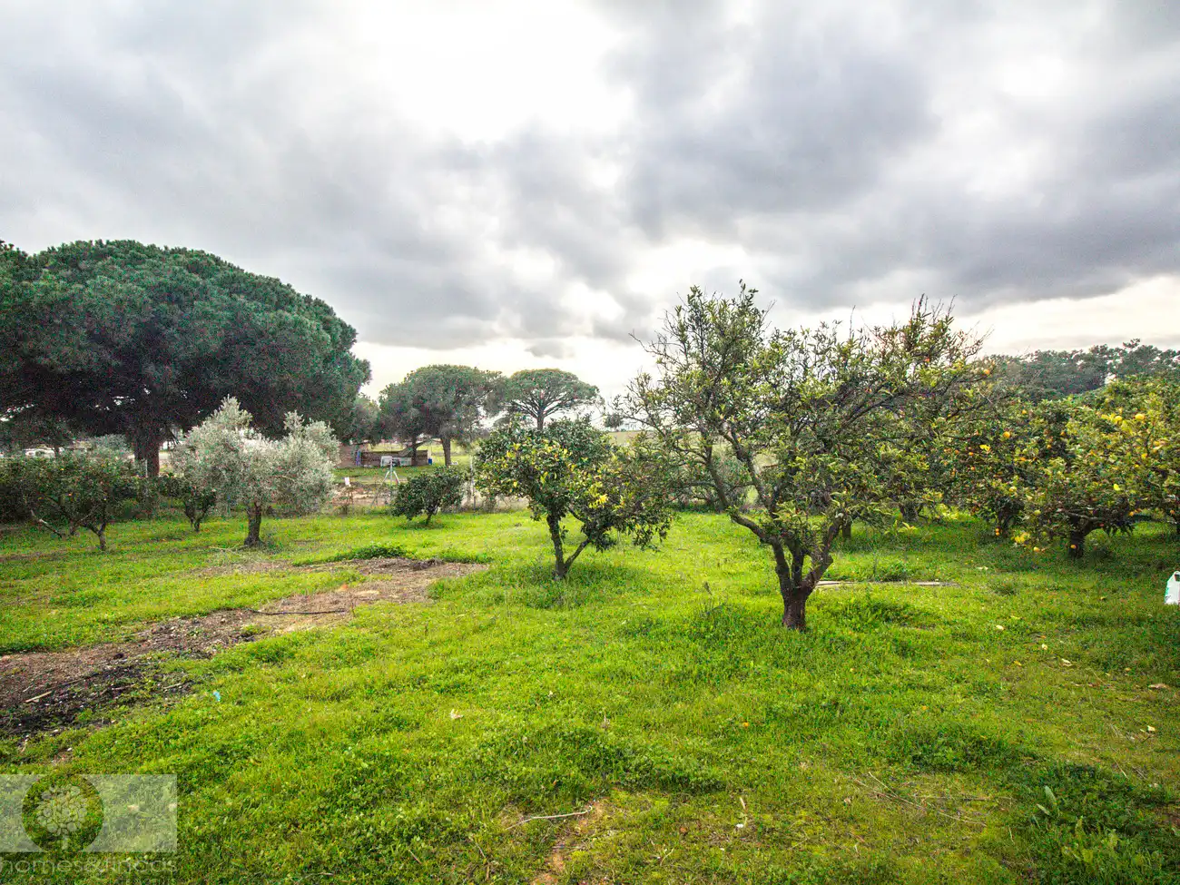 Country homes for sale in Gibraleón  with Furnished