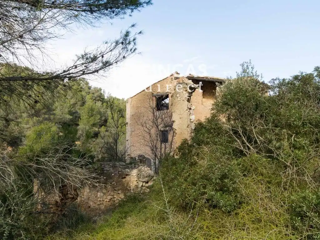 Vista exterior de Finca rústica en venda en Benissanet