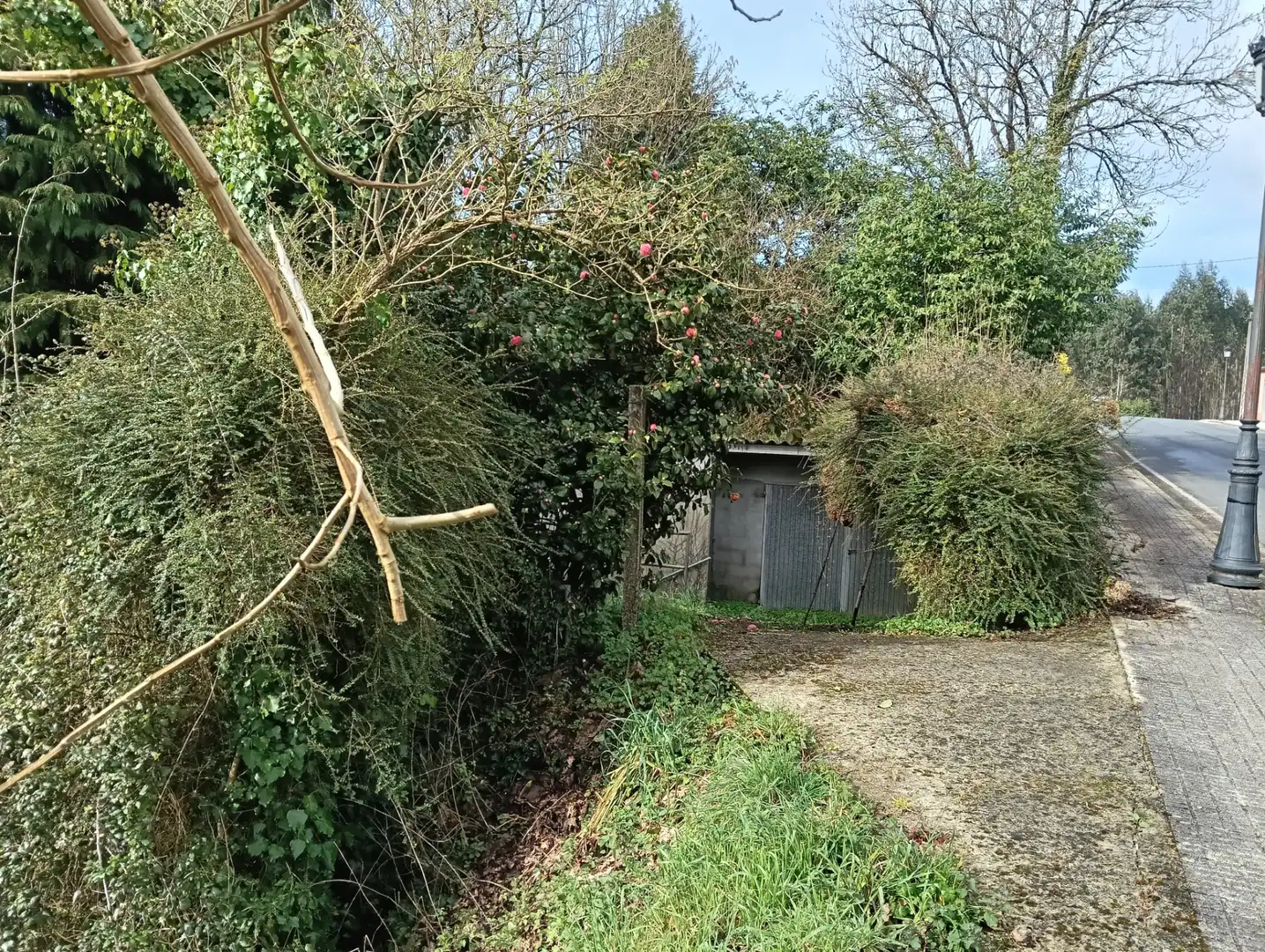Adossat amb jardí en venda a Foro 55, imagen 48