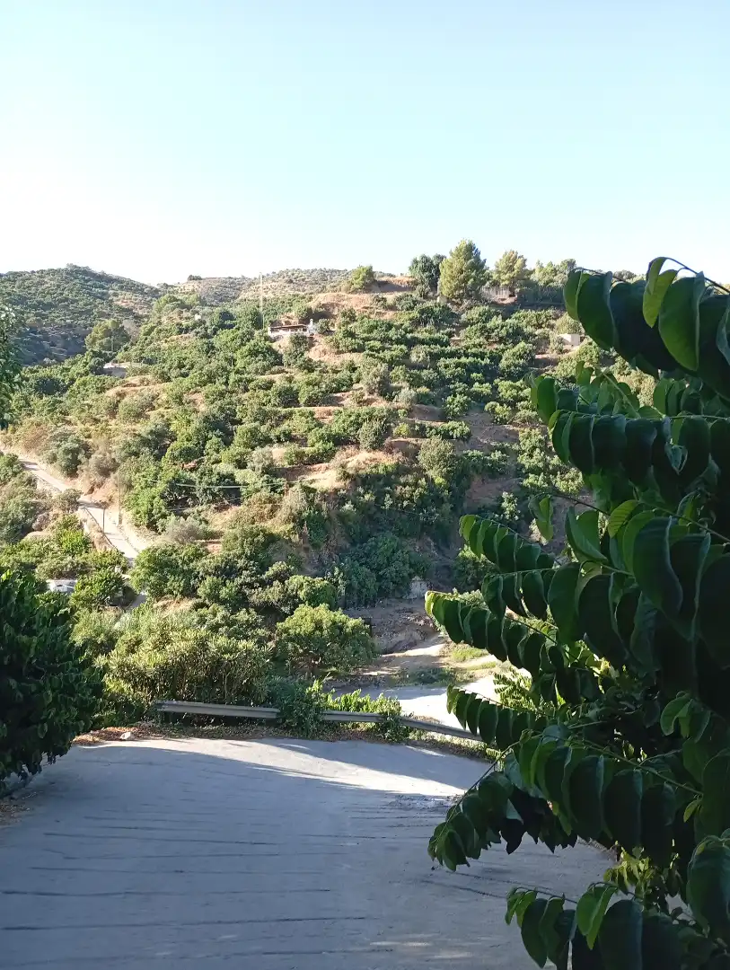 Finca rústica en venta en Jete con Terraza, Piscina y Amueblado