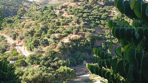 Foto 2 de Finca rústica en venta en Camino de Otivar a Granada, Jete, Granada