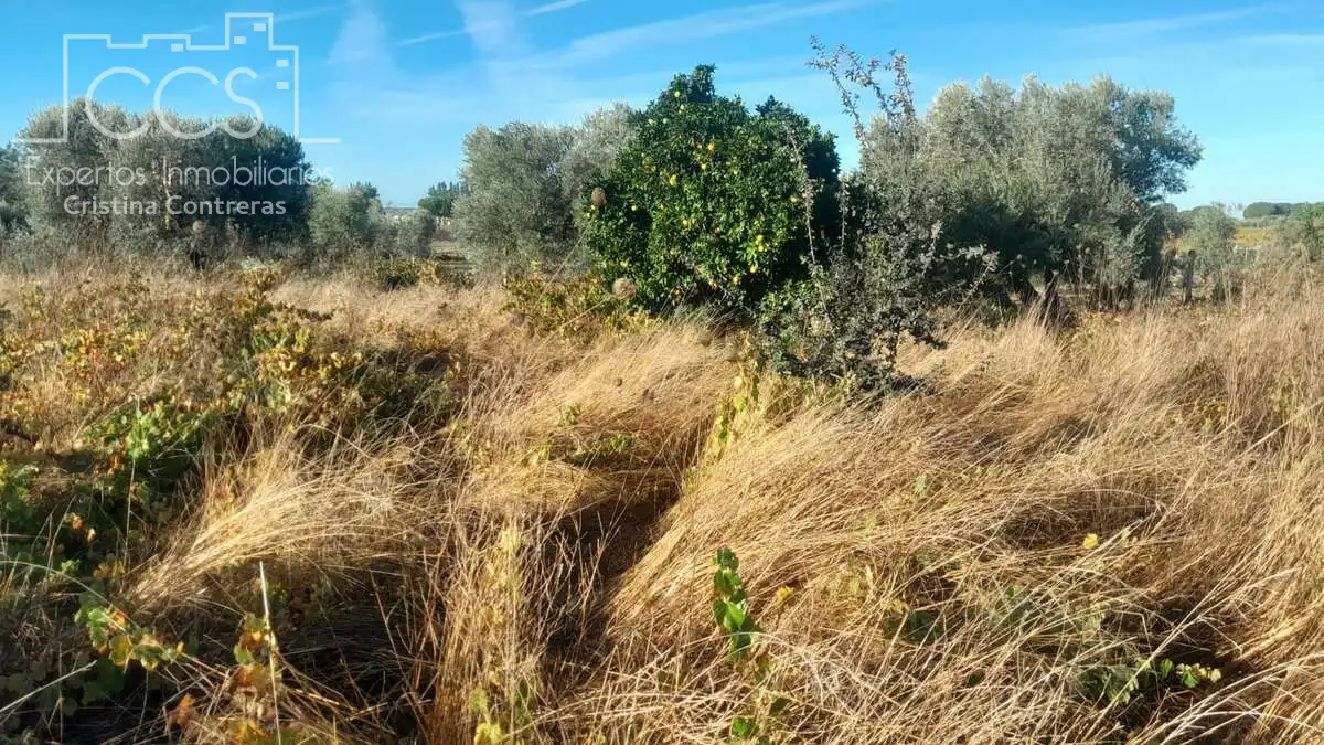 Terreni e lotti in vendita a Almonte ciudad, imagen 8