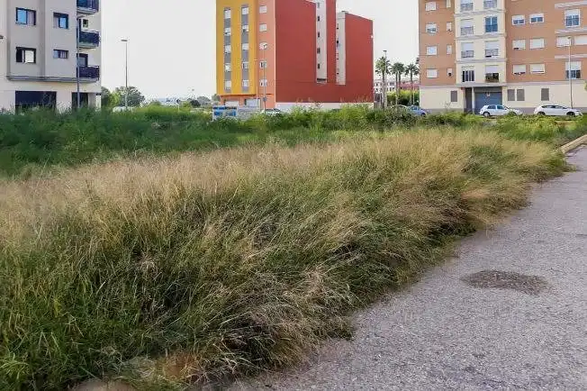 Terreni e lotti in vendita a Calle SANT JAUME, imagen 5