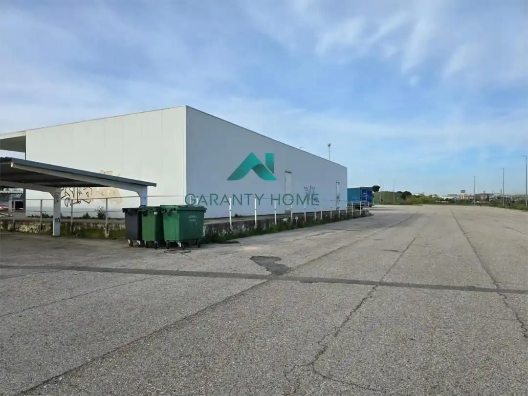 Local commercial à louer à Parque Ondarreta - Urtinsa, imagen 6