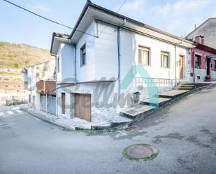 Exterior view of Single-family semi-detached for sale in Mieres (Asturias)  with Heating, Private garden and Terrace