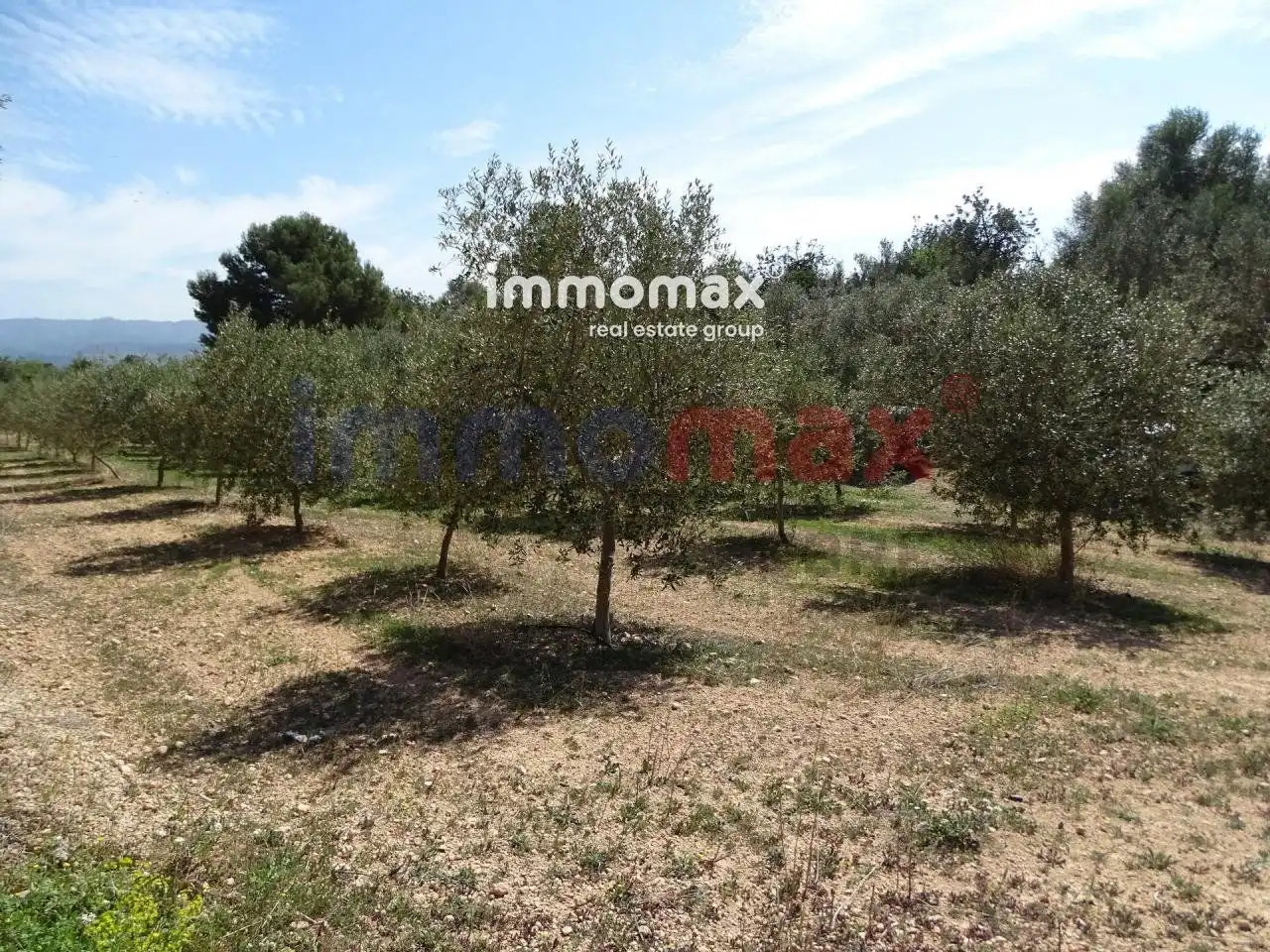 Terrenos y solares en venta en 63