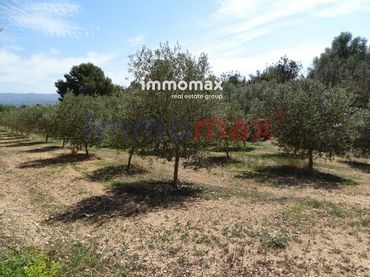 Terrenos y solares en venta en 63