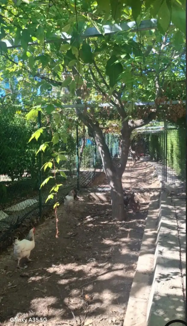 Casa rústica amb piscina en venda a Camino del Tollo, imagen 14