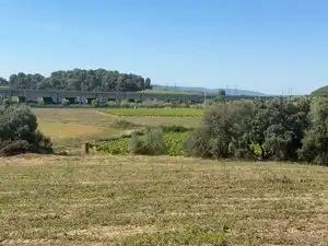 Rustikales Grundstück zum Verkauf in Carrer Eixample Nord 19