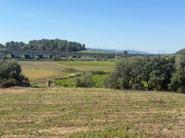 Terreno rustico in vendita a Carrer Eixample Nord 19