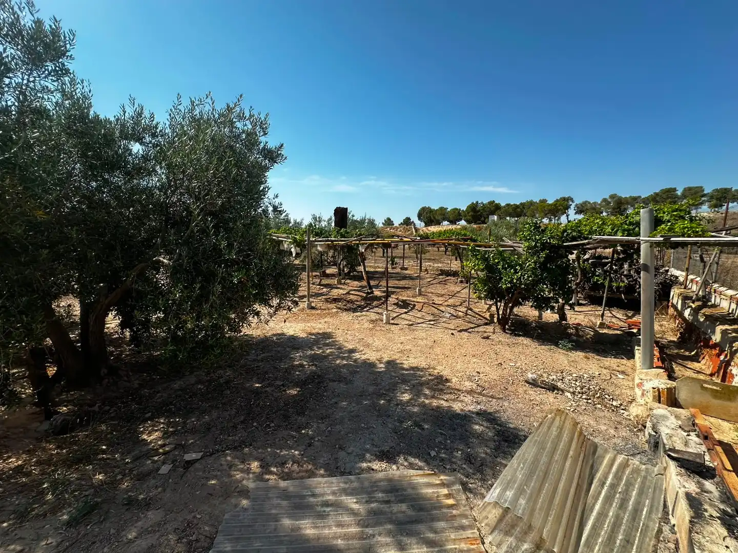 Terreno rústico en venta en Villamontes - Boqueres, imagen 12