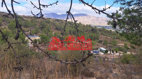 Foto 3 de Finca rústica en venda a Hondón de las Nieves / El Fondó de les Neus, Alicante