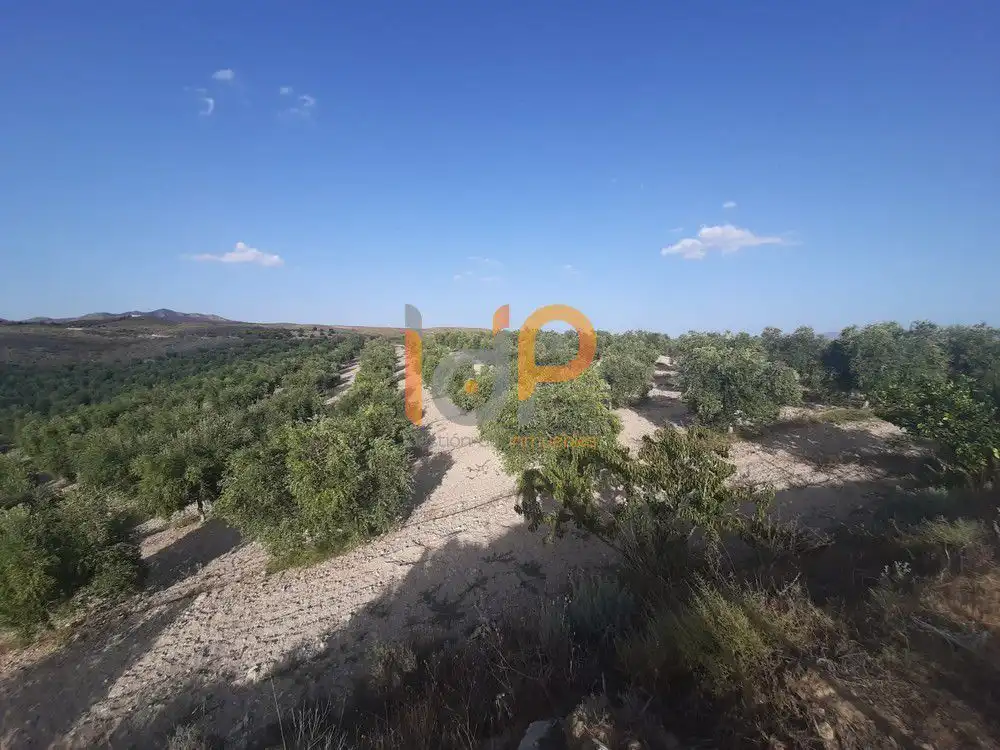 Maison à vendre à Sorbas, imagen 14