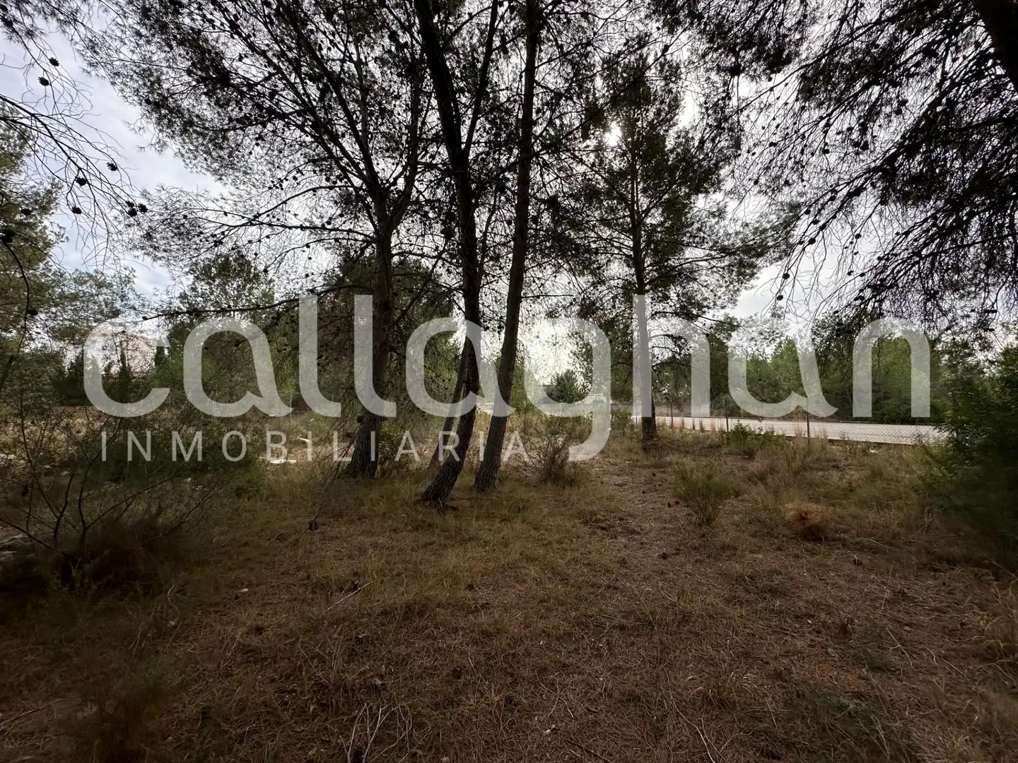 Terreny residencial en venda a Calle ESPARVER, imagen 5