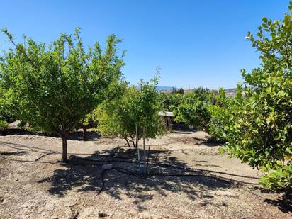 Finca rústica en venda en Molina de Segura