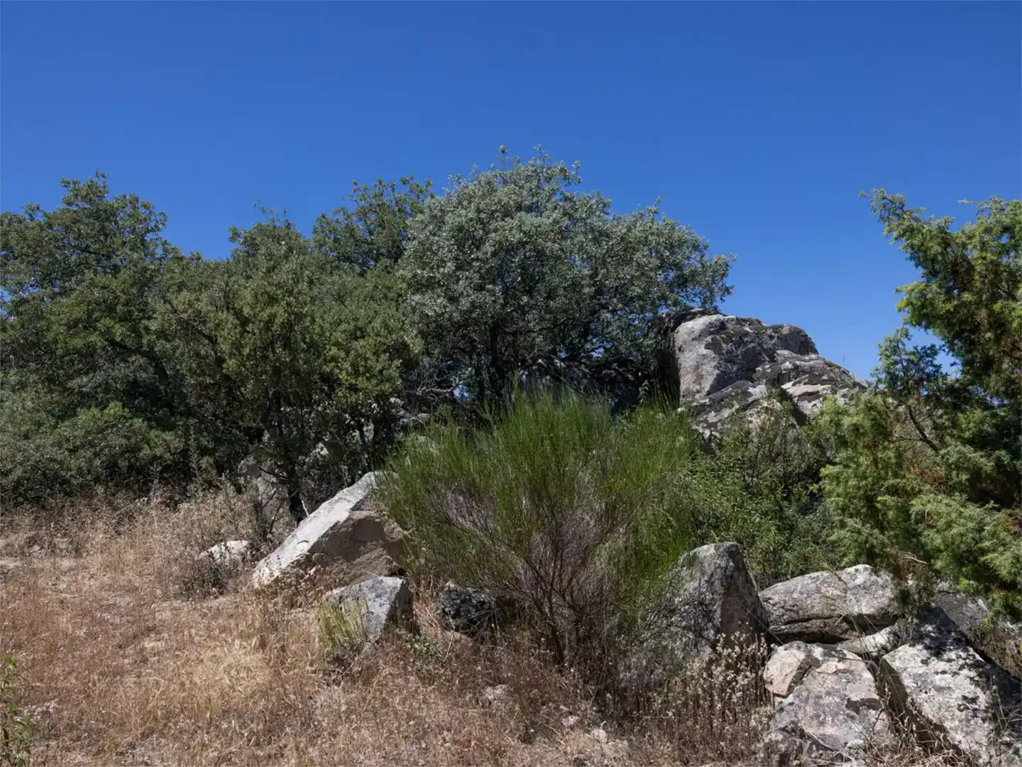 Finca rústica en venda en Fresnedillas de la Oliva, Madrid