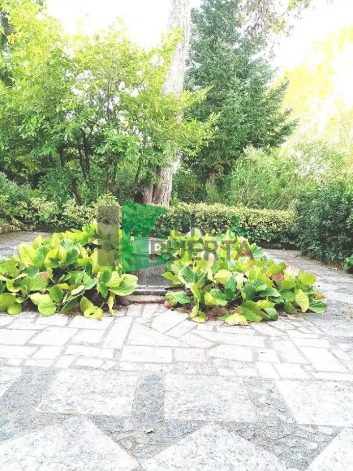 Chalet con jardín en venta en O Carballiño, imagen 20