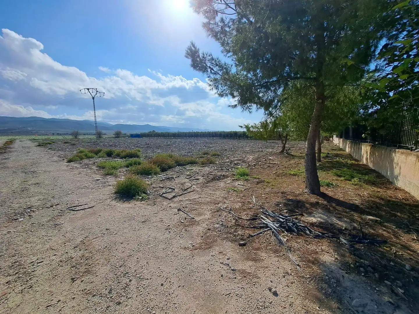 Casa o chalet en venta en Marchena