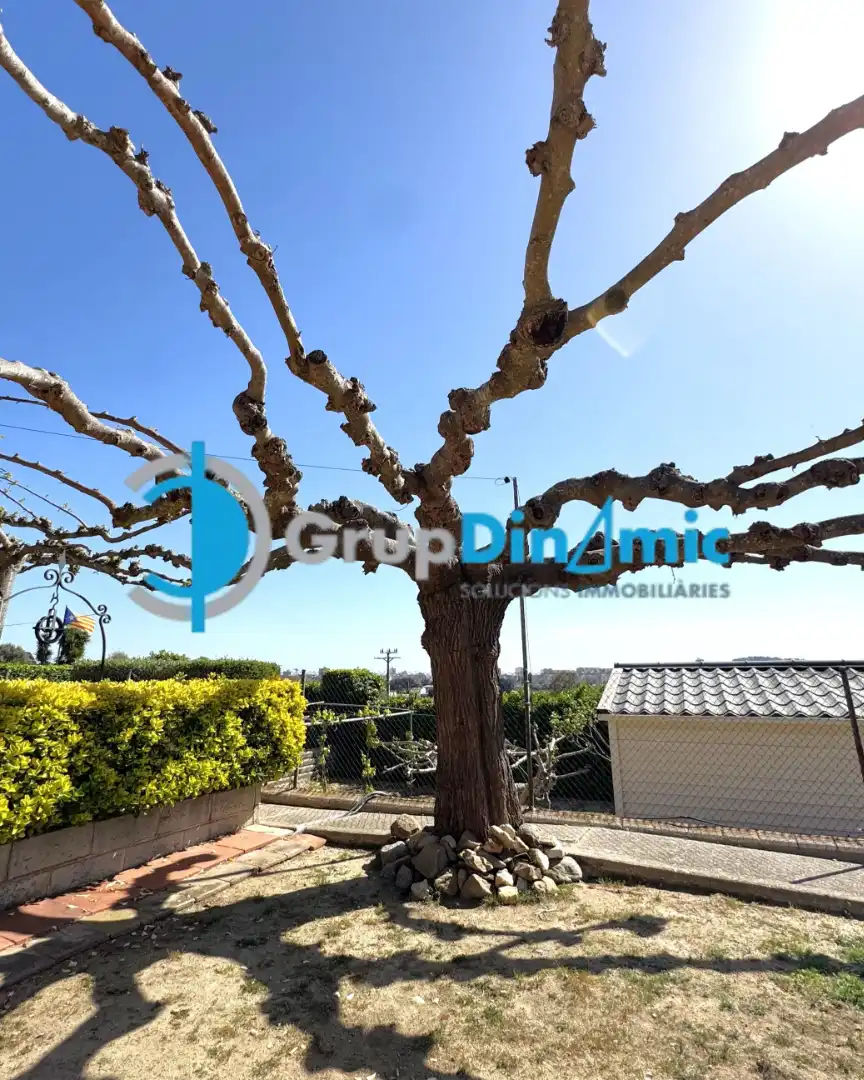 Jardín de Casa o chalet en venta en Calonge i Sant Antoni con Aire acondicionado, Jardín privado y Parquet