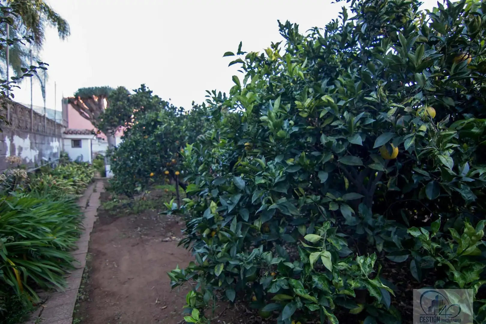 Jardín de Casa o chalet en venta en La Orotava con Trastero