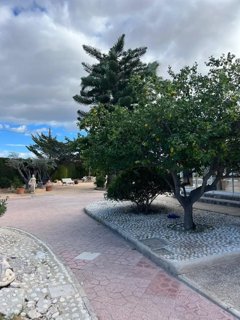 Garden of Houses for sale in Elche / Elx  with Heating, Terrace and Storage room