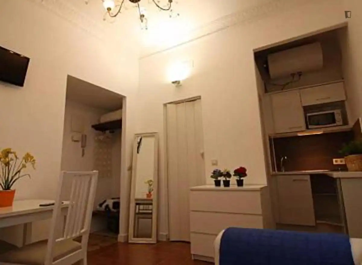 Apartment to rent in Centro, imagen 18