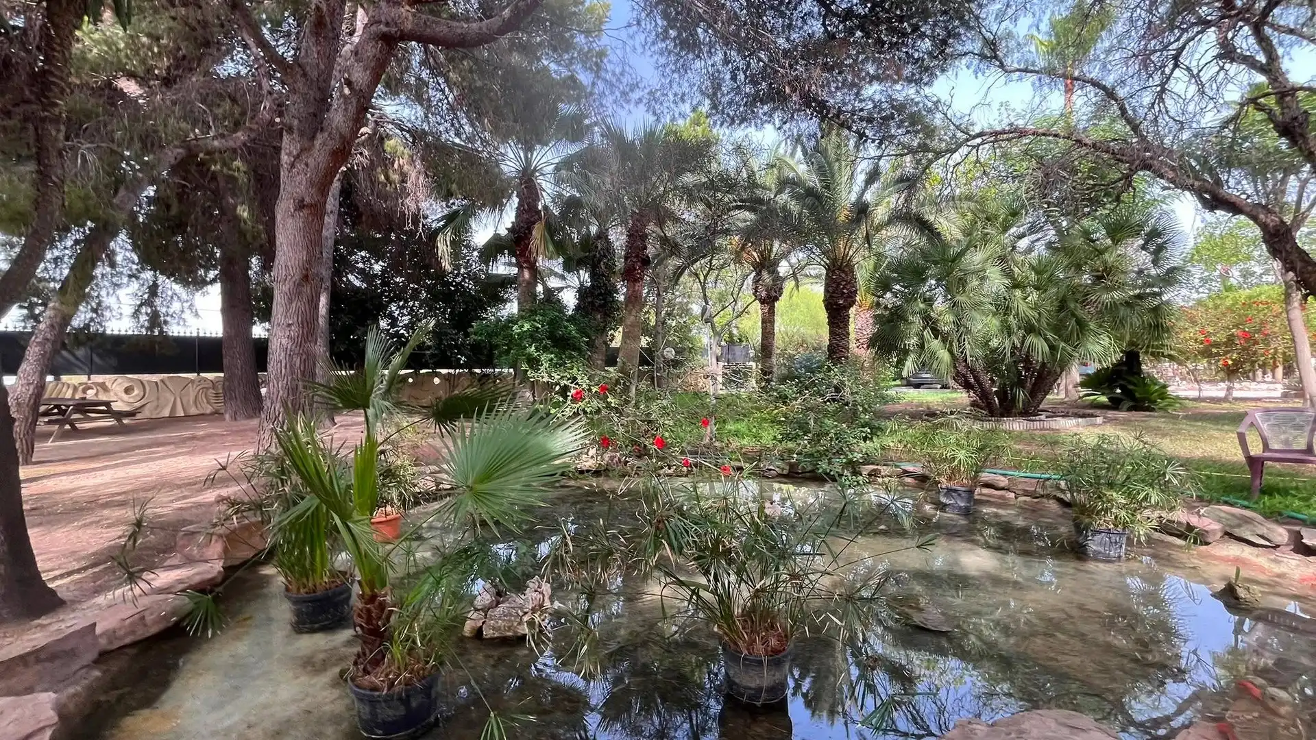 Jardín de Casa o chalet en venta en Elche / Elx con Aire acondicionado, Calefacción y Jardín privado