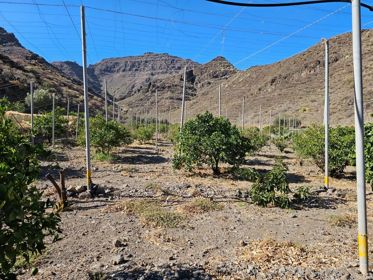 Vista exterior de Finca rústica en venta en La Aldea de San Nicolás  con Jardín privado, Terraza y Trastero