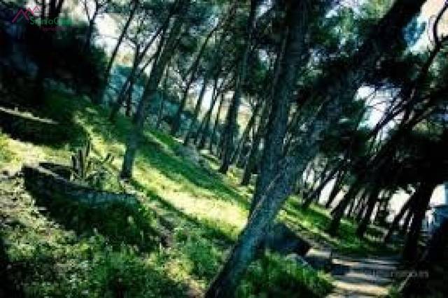 Terreno residencial en Venta en Ubrique