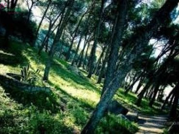 Terreni e lotti in vendita a Ubrique