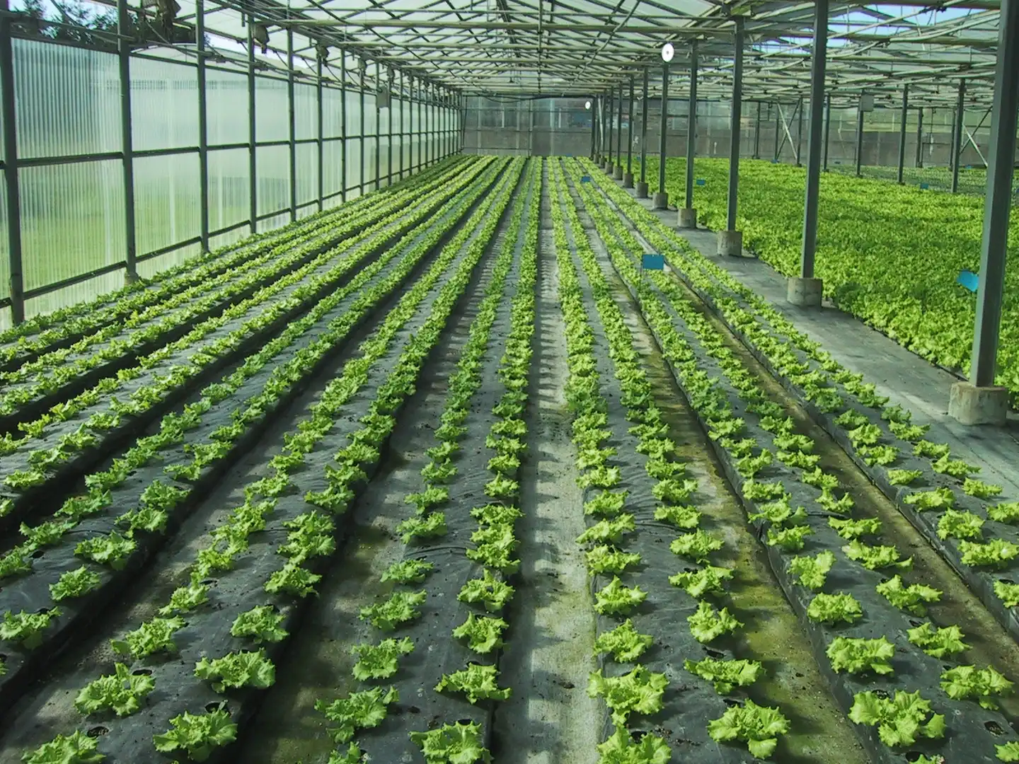 Garden of Land for sale in Donostia - San Sebastián 