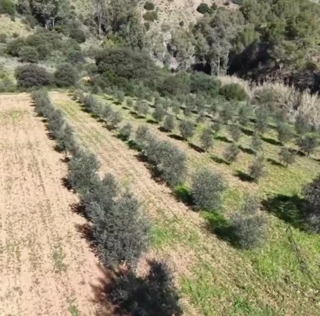 Terrenys i solars en venda a Coín, imagen 13