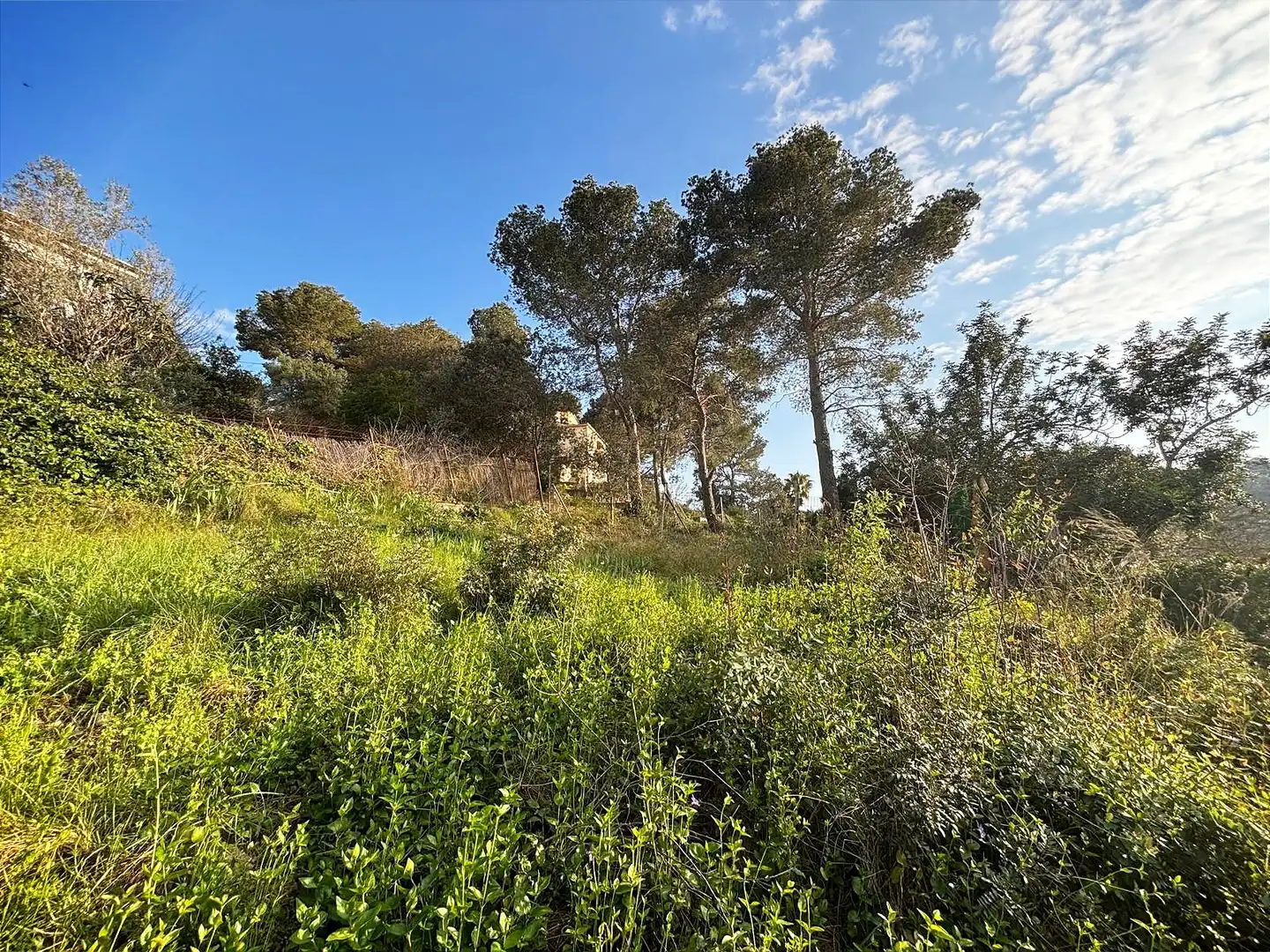 Terreno residencial en venta en Canyelles, imagen 5