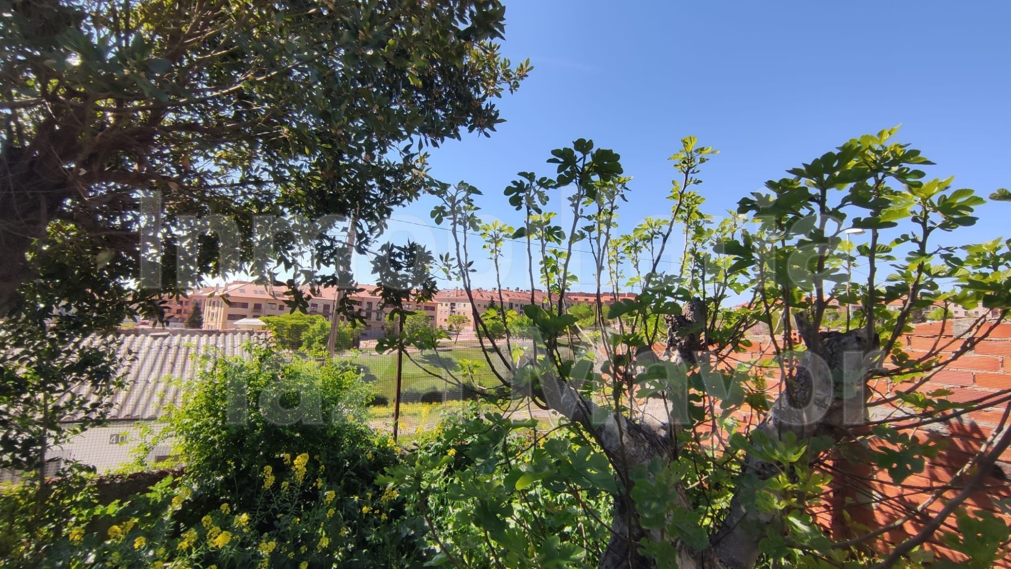 Jardí de Casa o xalet en venda en Salamanca Capital amb Calefacció, Terrassa i Traster