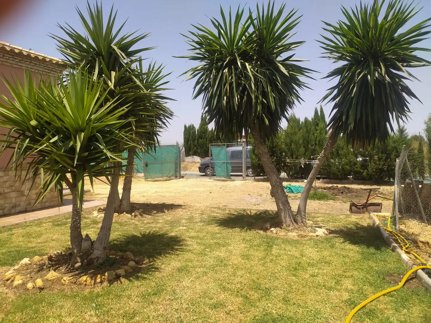 Finca rústica en venda a Carretera Don Rodrigo, 4, Pedanías Norte
