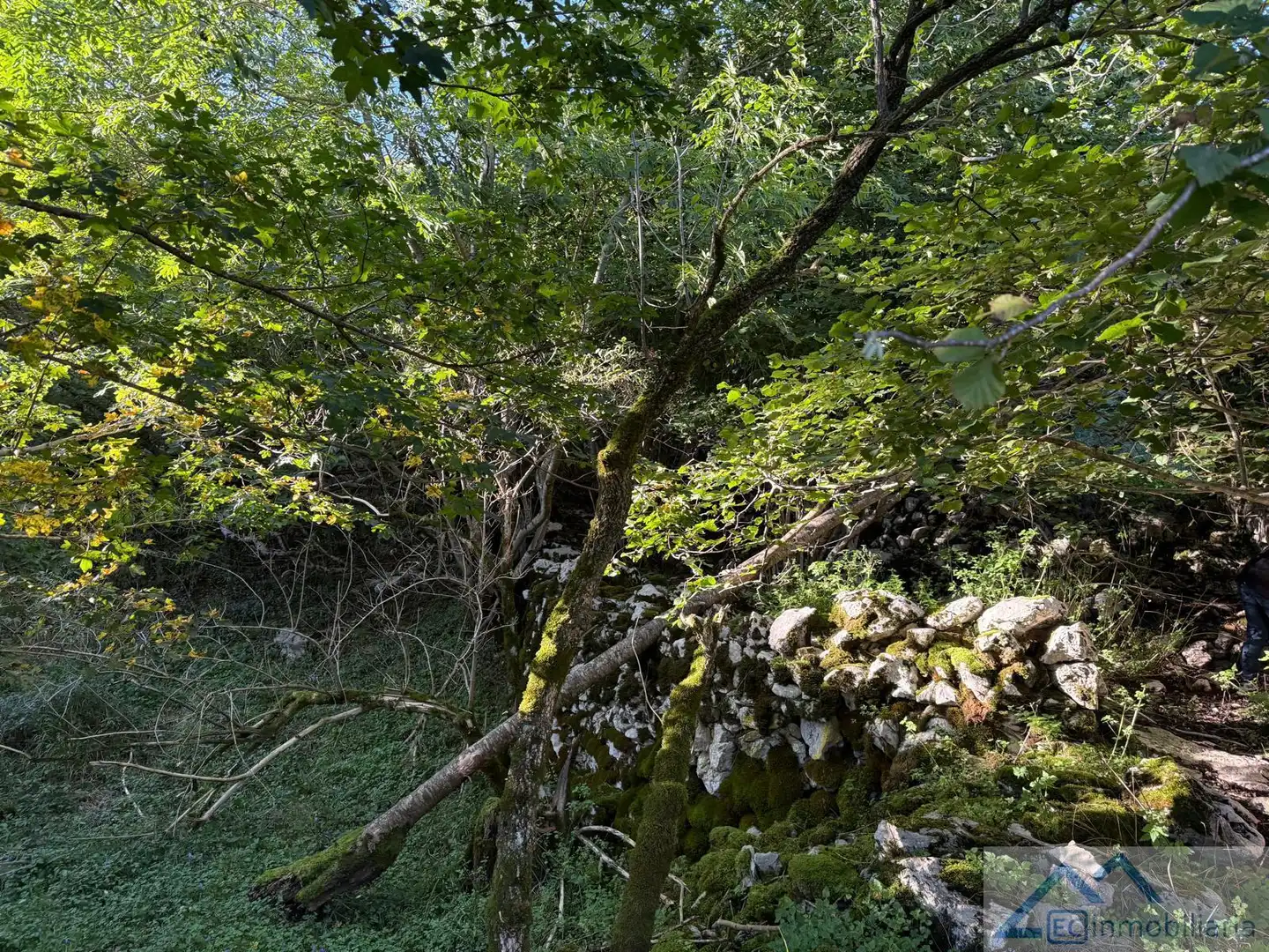 Jardín de Finca rústica en venta en Ruesga